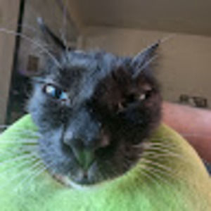 Meet your Posher, Matthew